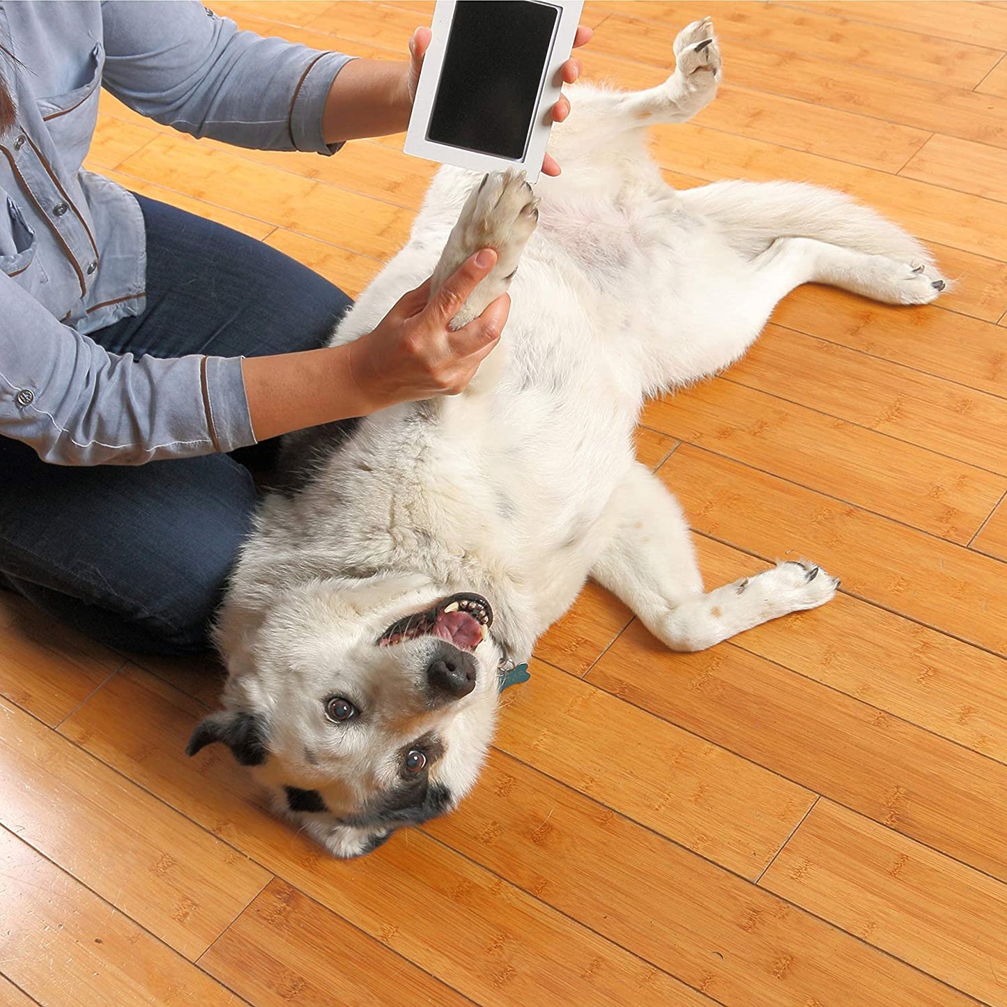 DIY Pet Pawsprint