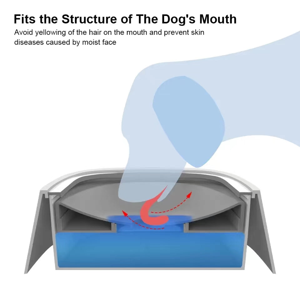 Tikaton Water Bowl For Dog or Cat