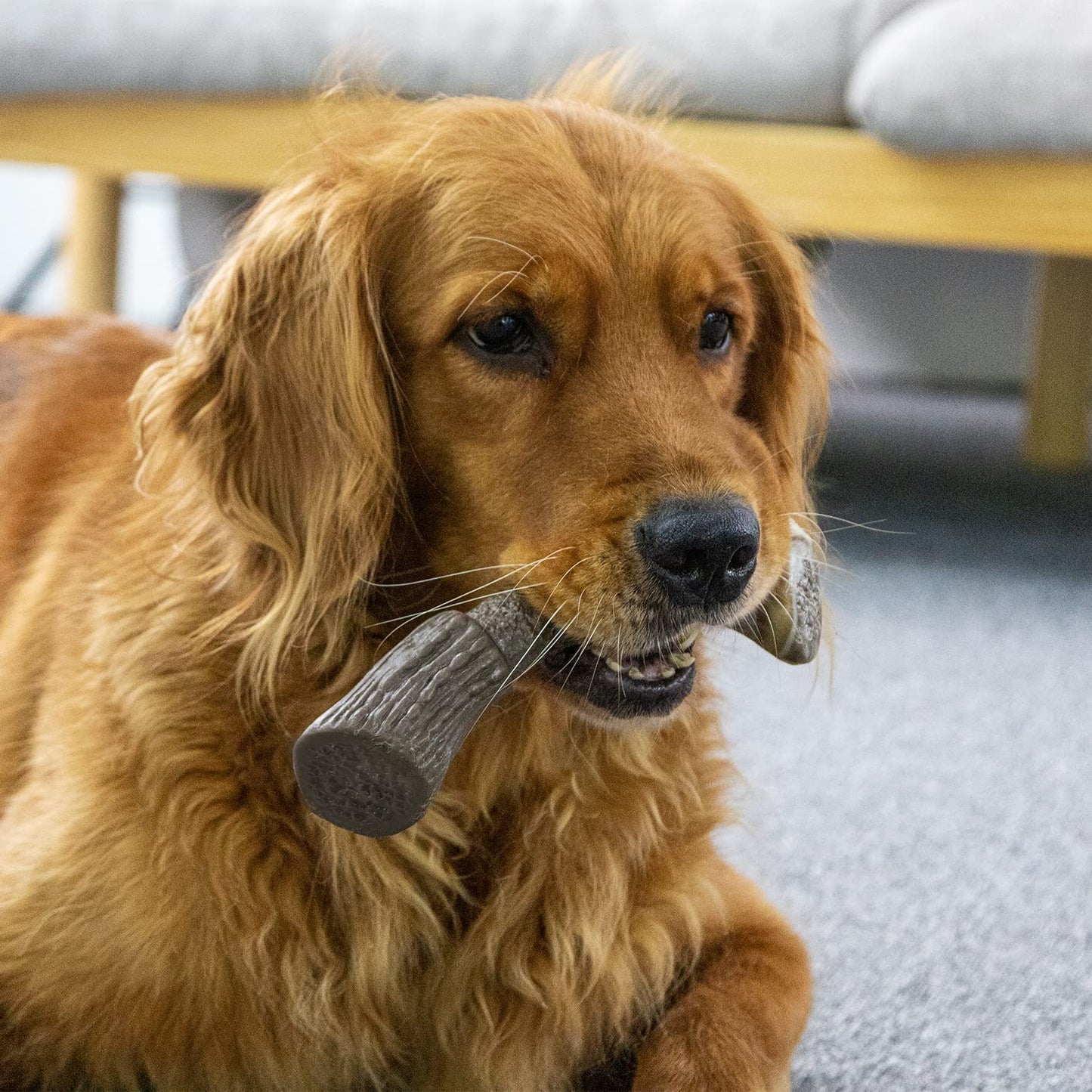 Tikaton Dog Teething Chew Toys HornBones