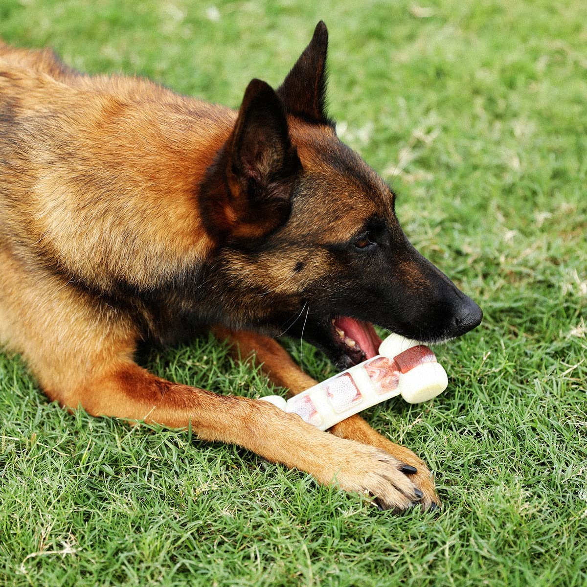 Tikaton Dog Teething Chew Toys Hammer Bones-Beef Flavor