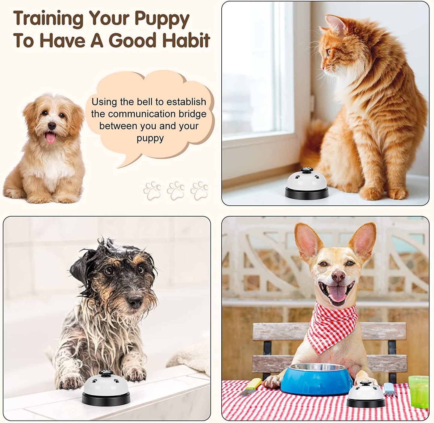 Pet Training Bell (2Pcs)