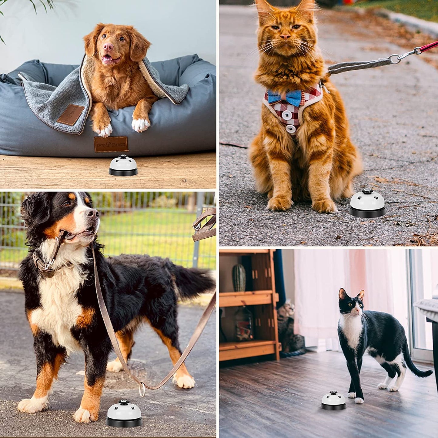 Pet Training Bell (2Pcs)