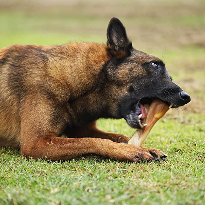 Tikaton Dog Teething Chew Toys I-Bones-Bacon Flavor