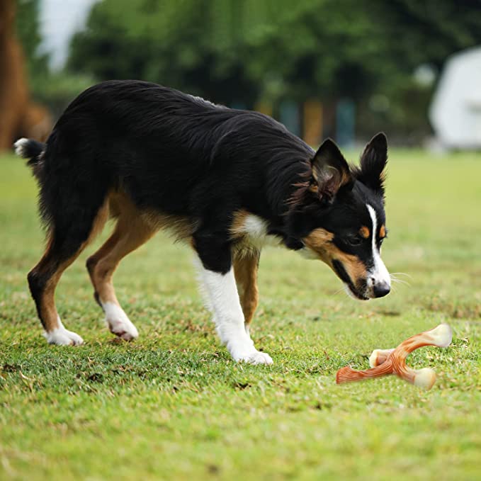 Tikaton Dog Teething Chew Toys X-Bones-Bacon Flavor