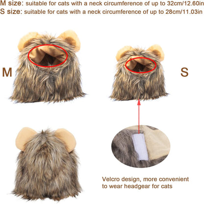 Cute cat headgear