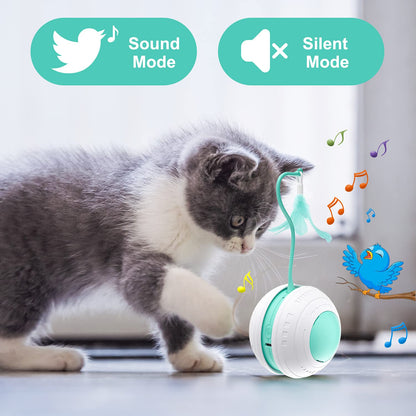 Smart Cat Ball Toys