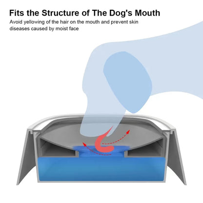 Tikaton Water Bowl For Dog or Cat