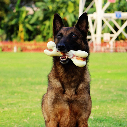 Tikaton Dog Teething Chew Toys Bones-Beef Flavor