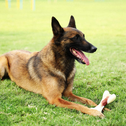 Tikaton Dog Teething Chew Toys Bones-Beef Flavor