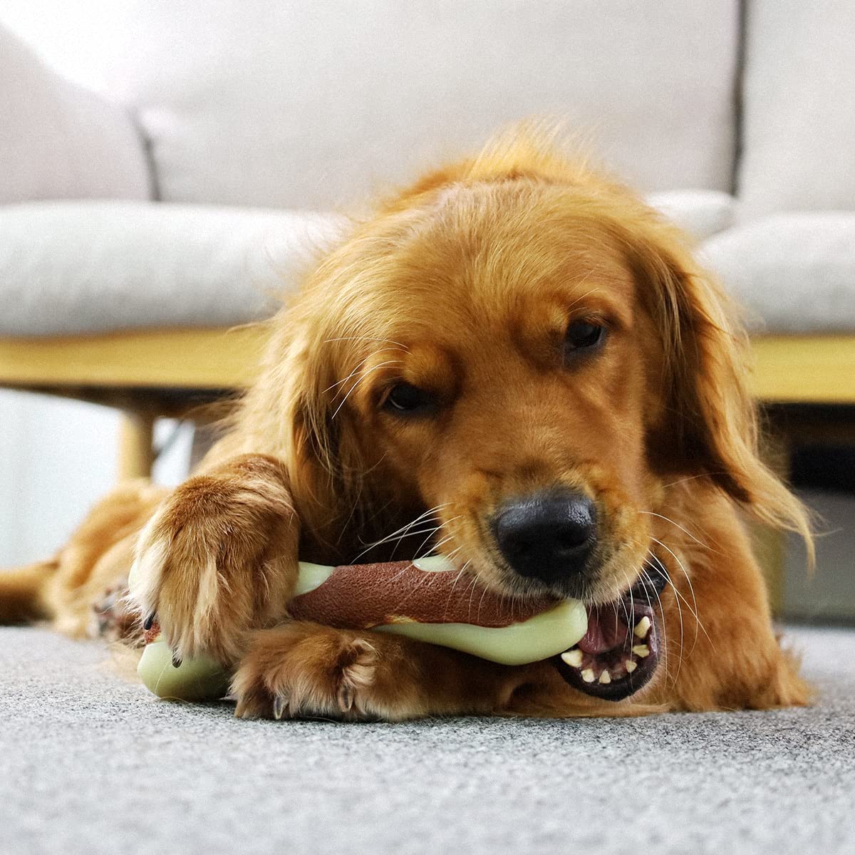 Tikaton Dog Teething Chew Toys Bones-Peanut Flavor
