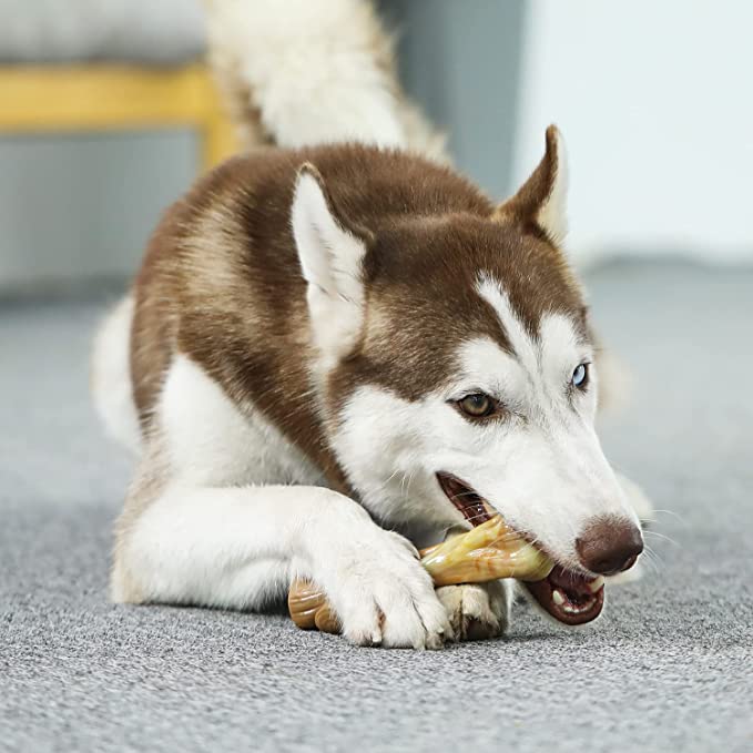 Tikaton Dog Teething Chew Toys I-Bones-Bacon Flavor
