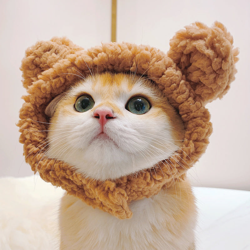 Cute cat headgear
