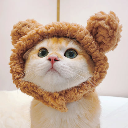 Cute cat headgear
