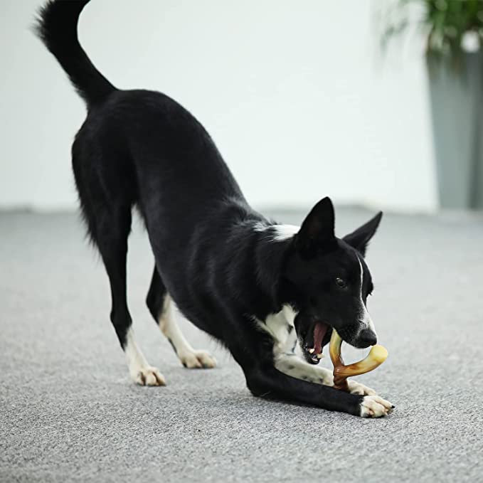 Tikaton Dog Teething Chew Toys Y-Bones-Beef Flavor